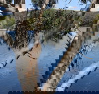 Bumberry Dam - South Australia Travel