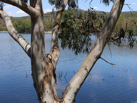 Bumberry Dam - South Australia Travel 0