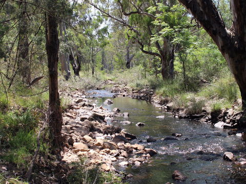 Bumberry Dam - South Australia Travel 1
