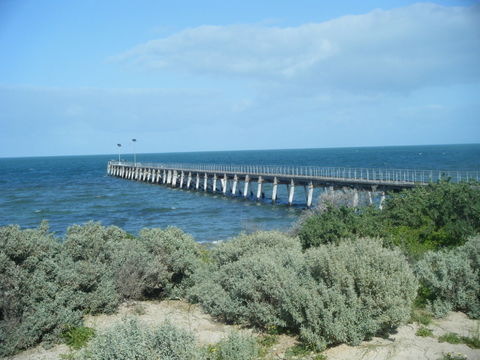 Haslam Campground - South Australia Travel 0