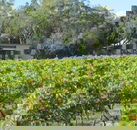 Just Red Wines Vineyard Cabins - South Australia Travel