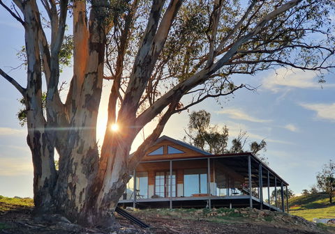 Kestrel Nest EcoHut - South Australia Travel 0