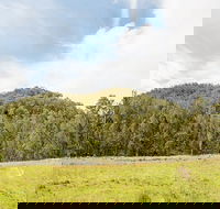 Mountain Arm campground - South Australia Travel