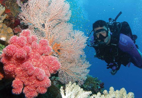 NRMA Palm Cove Holiday Park - South Australia Travel 2