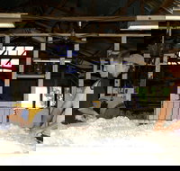 Pelican Sheep Station - South Australia Travel