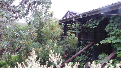 Rachels Retreat - South Australia Travel 0