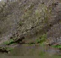 The Beach - South Australia Travel