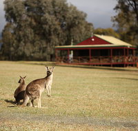 The Pokolbin Cabins - South Australia Travel