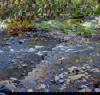 Toorooroo campground - South Australia Travel