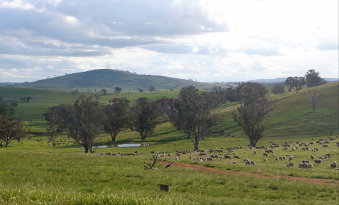 Wantana Cottage Farm Stay - South Australia Travel 0