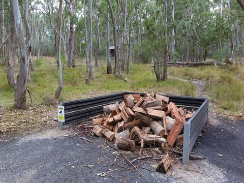Wollomombi Campground - South Australia Travel 1