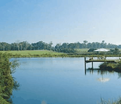 Forest Rise Eco Retreat - South Australia Travel