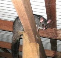 Warren River Resort - South Australia Travel