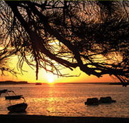 Pelican's Nest - South Australia Travel