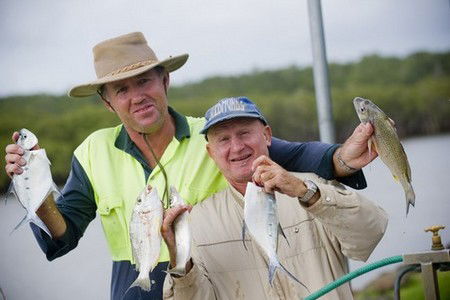 Terrace Reserve Holiday Park - South Australia Travel 1