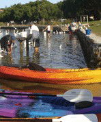 Turner Caravan Park - South Australia Travel 1