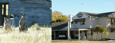 Acacia Motor Inn - South Australia Travel 5