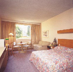 Country Comfort Armidale - South Australia Travel 3