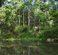 Peppermint Grove Retreat - South Australia Travel