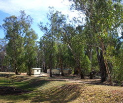 Balranald Caravan Park - South Australia Travel 0