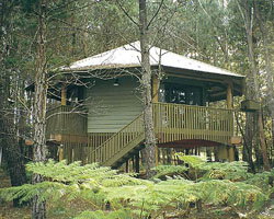 Possums Hideaway - South Australia Travel 0