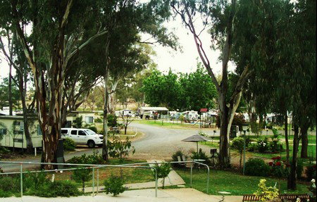 Buronga Riverside Tourist Park - South Australia Travel 4