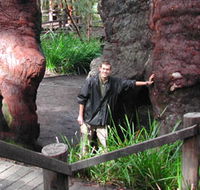 Walpole Lodge - South Australia Travel