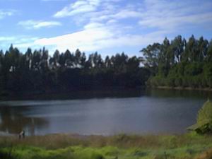 Jenny's Lake Farm B&B - South Australia Travel 5