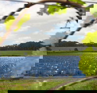 Bettenays Lakeside Loft Apartment and Vineyard Chalets - South Australia Travel