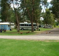 Harvey Rainbow Caravan Park - South Australia Travel