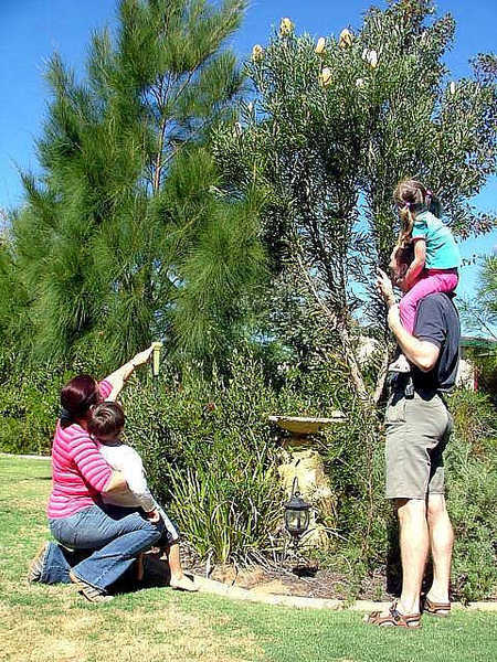 The Pavilion Bed And Breakfast - South Australia Travel 3