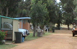 Horrocks Beach Caravan Park - South Australia Travel 4