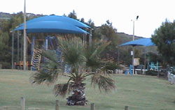 Horrocks Beach Caravan Park - South Australia Travel 5