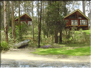 Bewong River Retreat - South Australia Travel 4