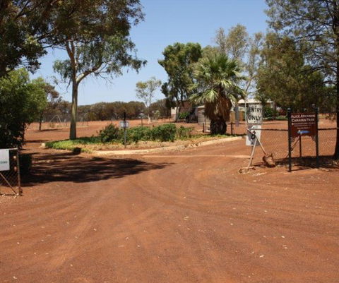 Alice Atkinson Caravan Park - South Australia Travel 1