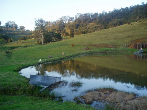 Barkeldine Farm Country Retreat - South Australia Travel 0
