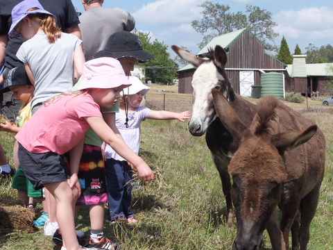 Barkeldine Farm Country Retreat - South Australia Travel 2