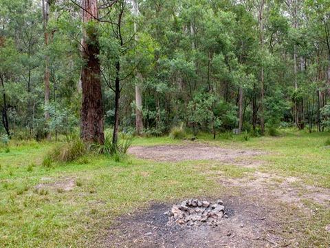 Blue Gum Flat Campground - South Australia Travel 0