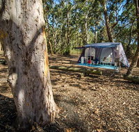 Boomeri campground - South Australia Travel