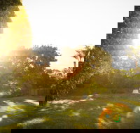 Comfort Inn and Suites Robertson Gardens - South Australia Travel