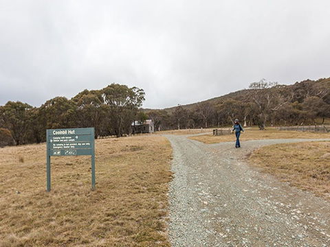 Cooinbil Hut Campground - South Australia Travel 0