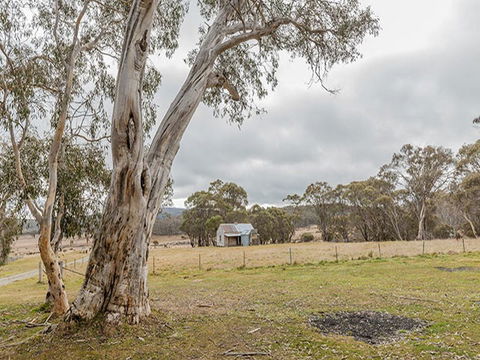 Cooinbil Hut Campground - South Australia Travel 2