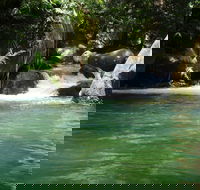 Daintree Secrets Rainforest Sanctuary