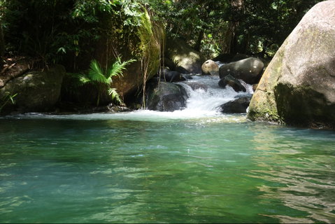 Daintree Secrets Rainforest Sanctuary - South Australia Travel 0