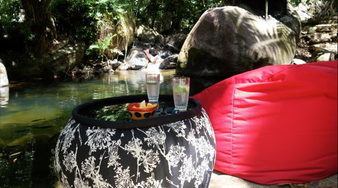 Daintree Secrets Rainforest Sanctuary - South Australia Travel 1