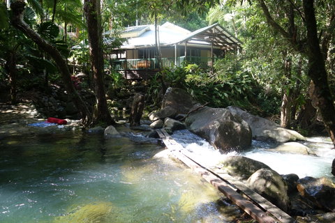 Daintree Secrets Rainforest Sanctuary - South Australia Travel 2
