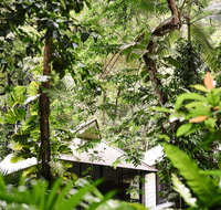 Daintree Ecolodge - South Australia Travel