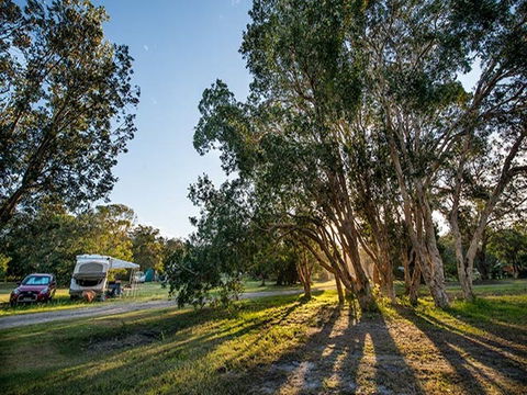 Delicate Campground - South Australia Travel 0