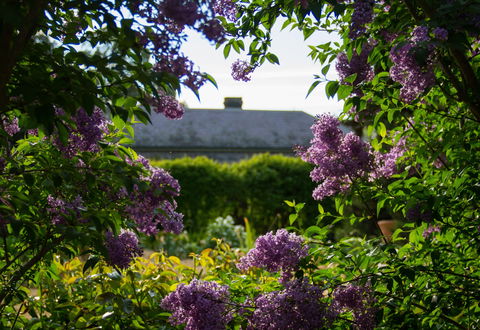 Eurambeen Historic Homestead And Gardens - South Australia Travel 1