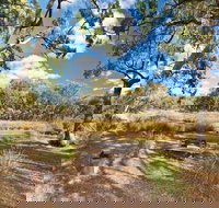 Kings Plains Creek campground - South Australia Travel